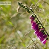 PC1_Bild151.jpg